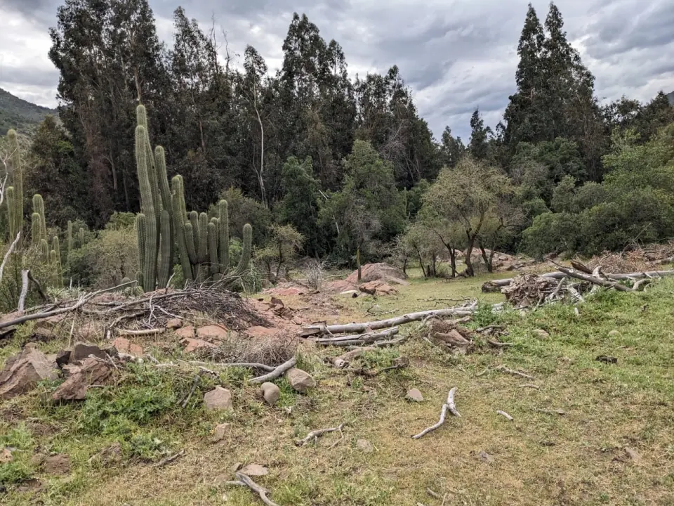 Naturaleza y espacios de Scout Park Chile, foto 1 de 40